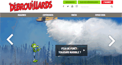 Desktop Screenshot of lesdebrouillards.com